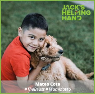 Mateo Cota, The Beast